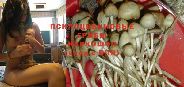 прущая мука Верхний Тагил