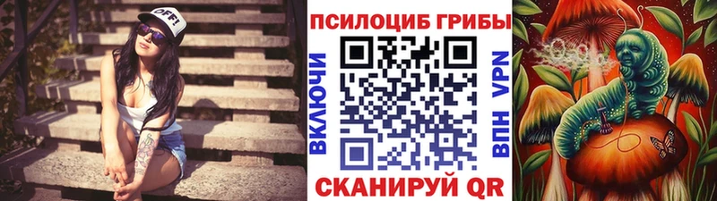 hydra ONION  дарнет шоп  Велиж  Псилоцибиновые грибы GOLDEN TEACHER 